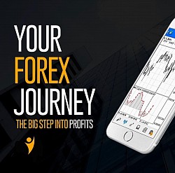 Forex trading bitcoin investment